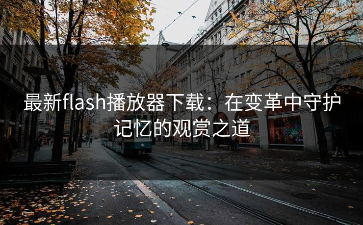 最新flash播放器下载：在变革中守护记忆的观赏之道
