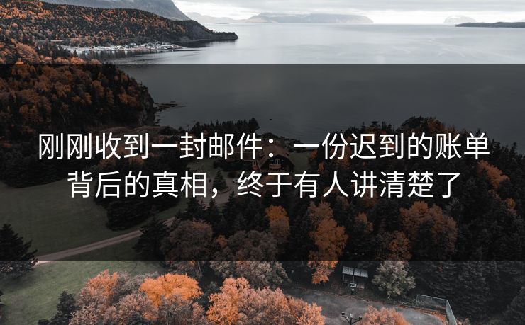 刚刚收到一封邮件：一份迟到的账单背后的真相，终于有人讲清楚了